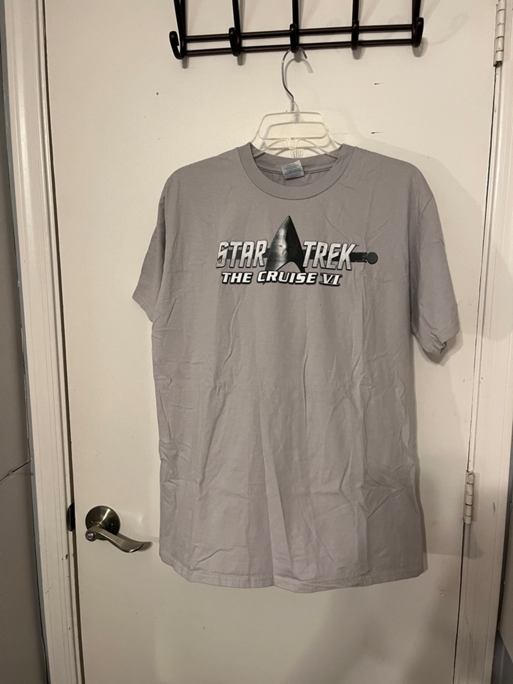 Star Trek,The Cruise VI ,2023 cast list, event T-shirt gray size large.